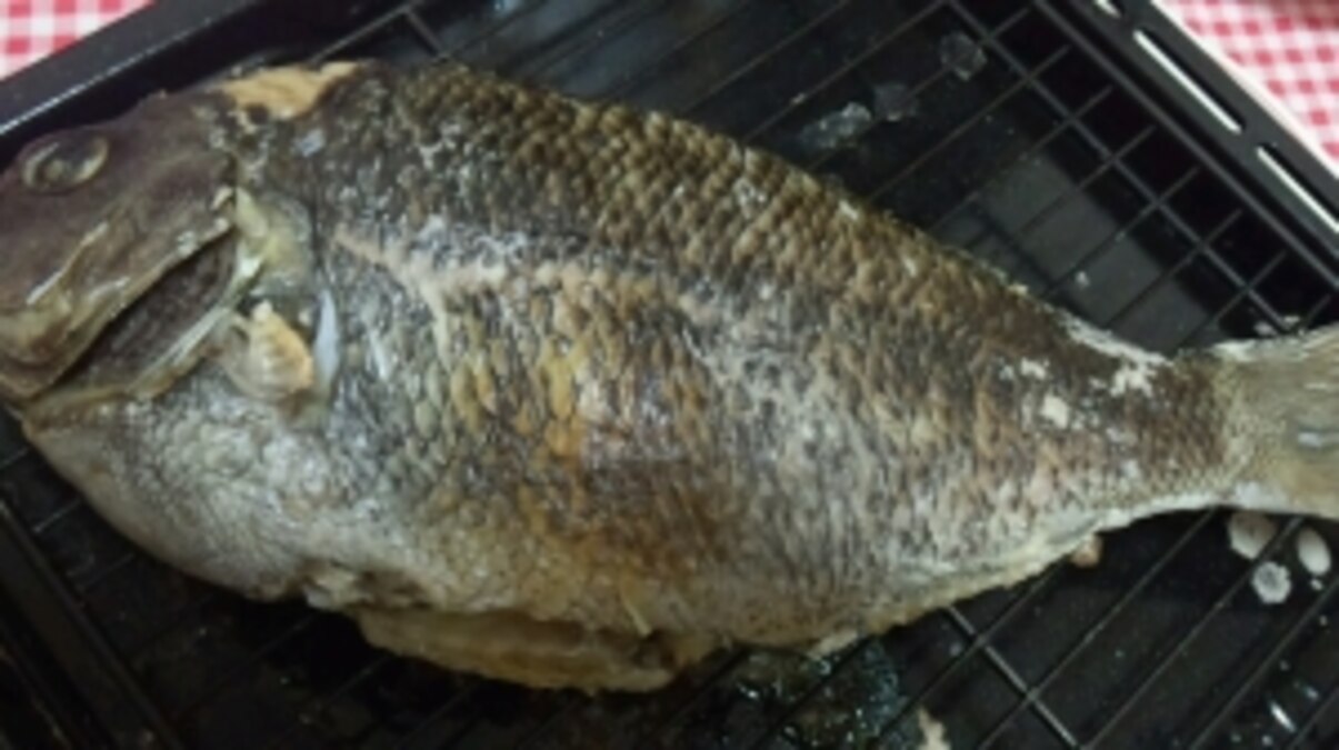 ヘルシオで グレの塩焼き レシピ 作り方 By まの925 楽天レシピ ヘルシオで グレの塩焼き レシピ 作り方 By まの925 楽天レシピ